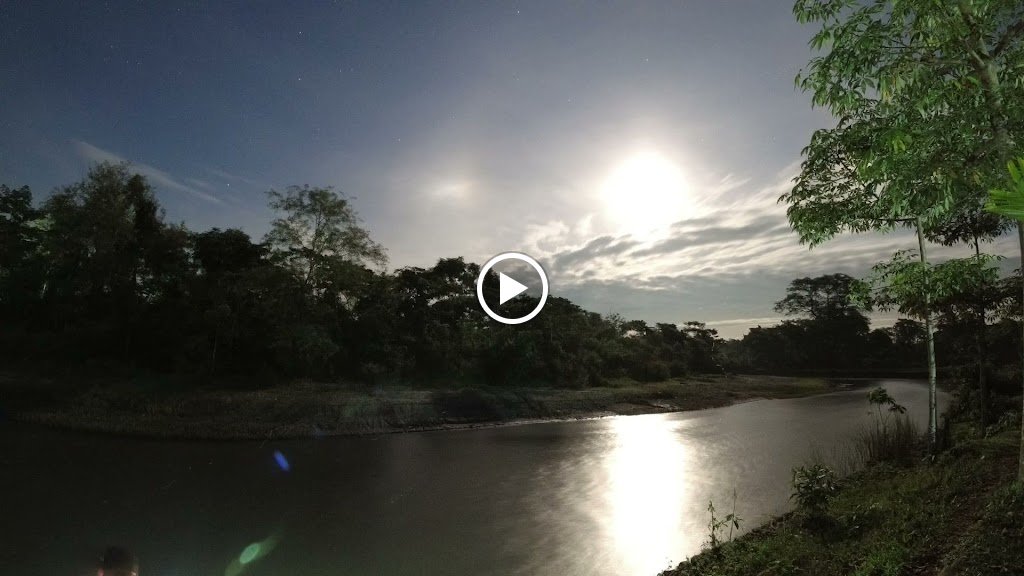Videos