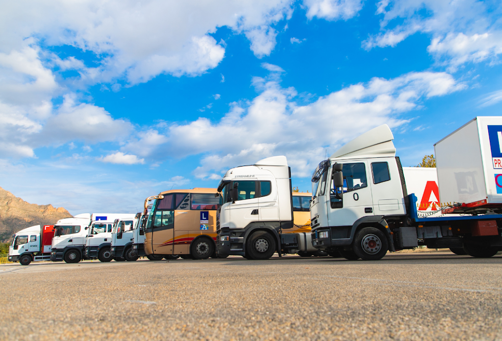 Autoescuela Alonso Torrevieja | Cursos de Recuperacion de Puntos