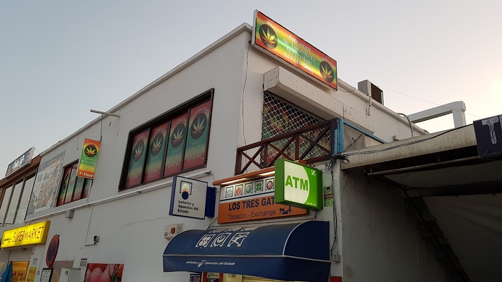 Coffee Shop Rotterdam