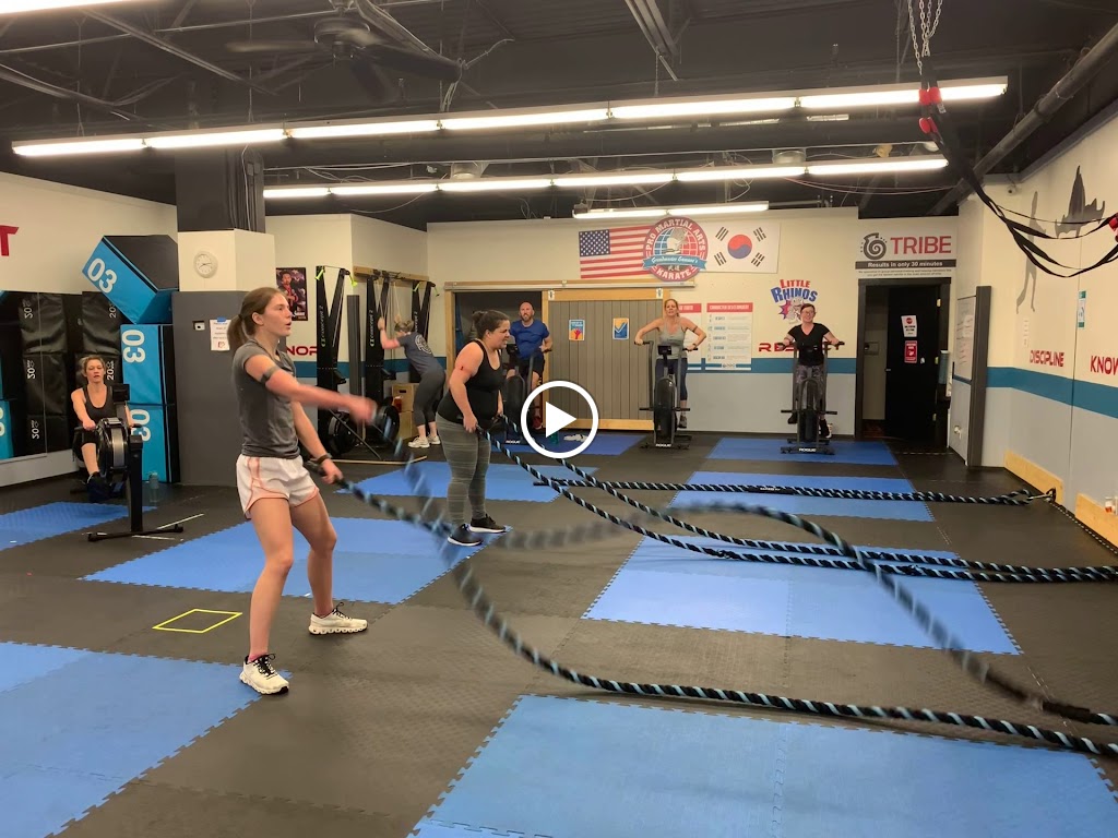  TRIBE Fitness Kenwood