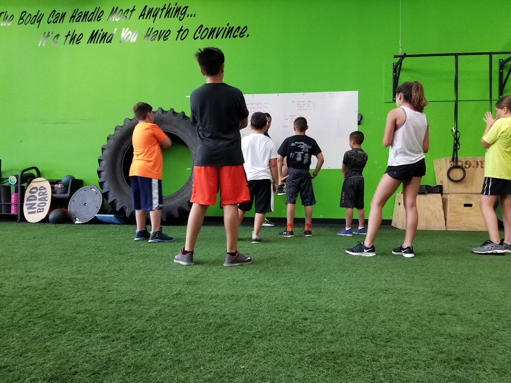  Elite Fitness Training