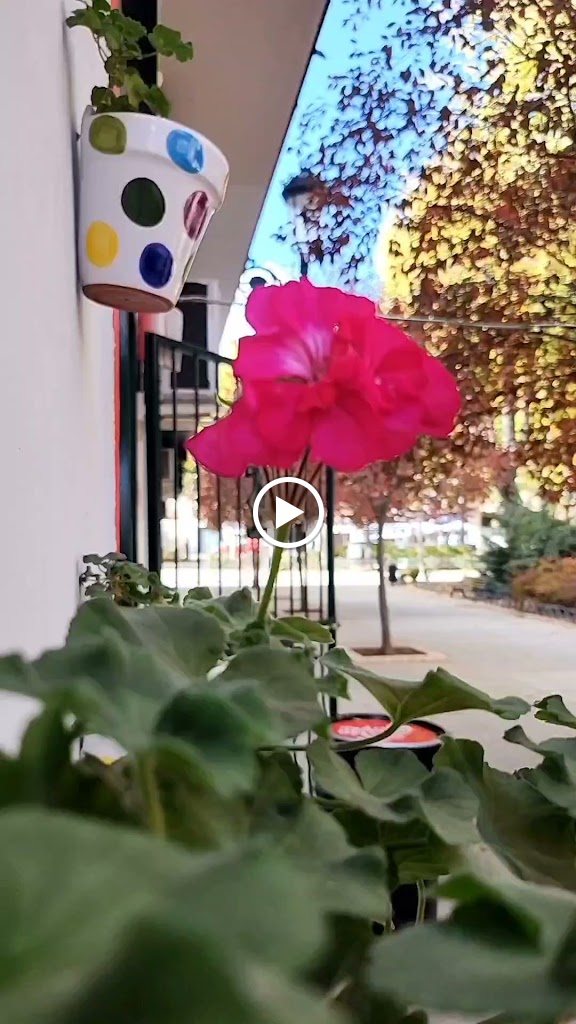 GASTRO-BAR El Rincon del Arte. — Videos