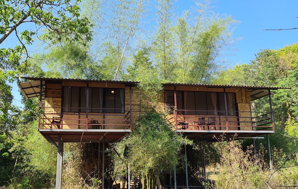 Deep Jungle Home