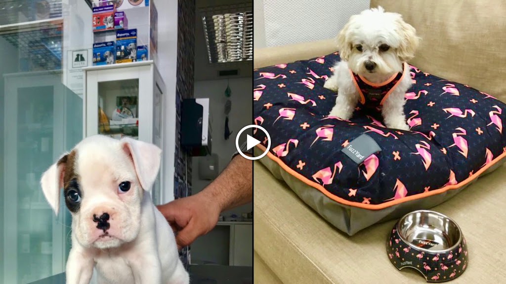 Centro Veterinario Castilla — Del propietario