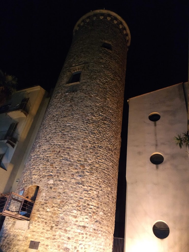 Museu de Terrassa. Direccio i Serveis