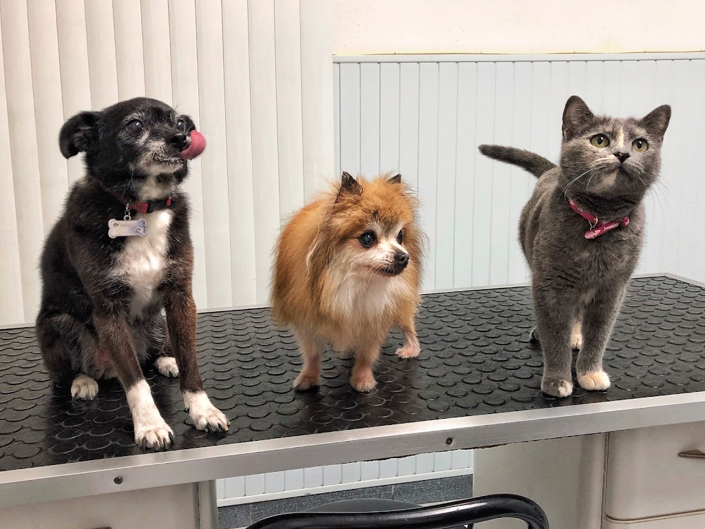 Clinica Veterinaria Andujar