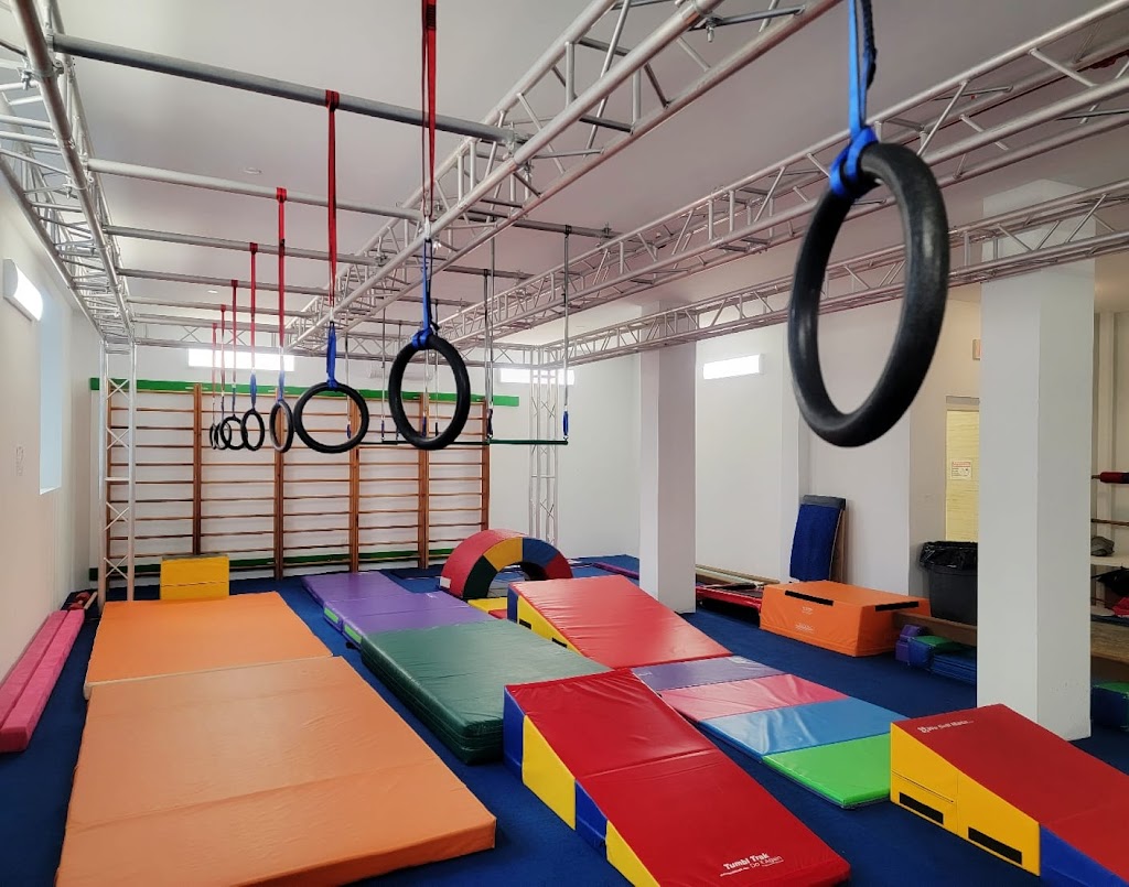  Ninja Gymnastics Factory