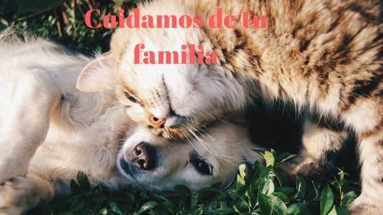 Clinica Veterinaria Finestrat