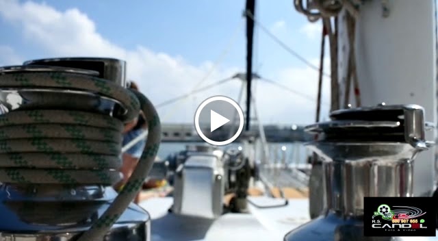 Catamaran Mundo Marino Altea | Excursiones en barco Altea — Del propietario