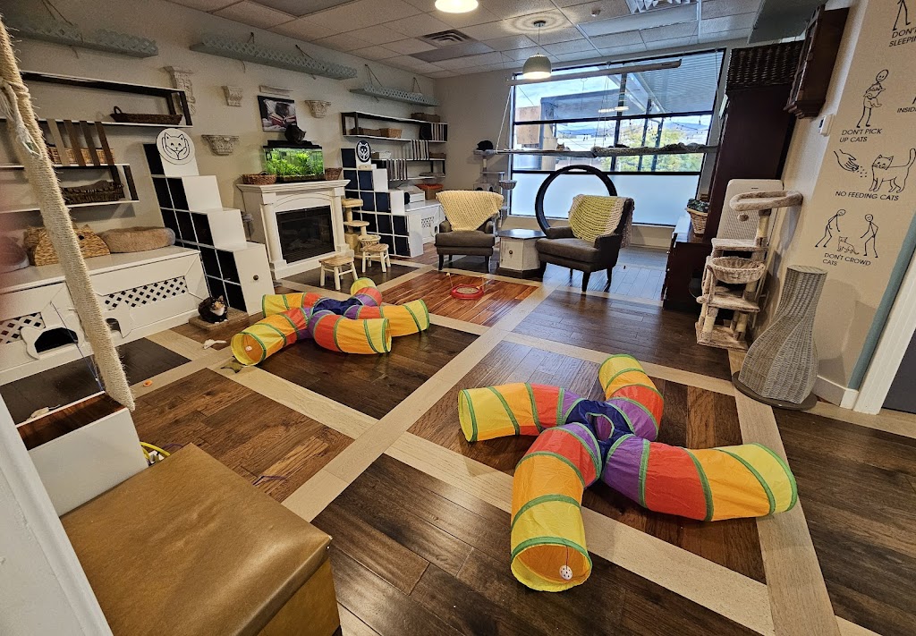 Photo of Catelowna Cat Cafe