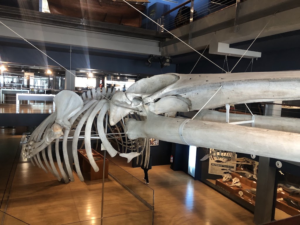 Museo Maritimo del Cantabrico