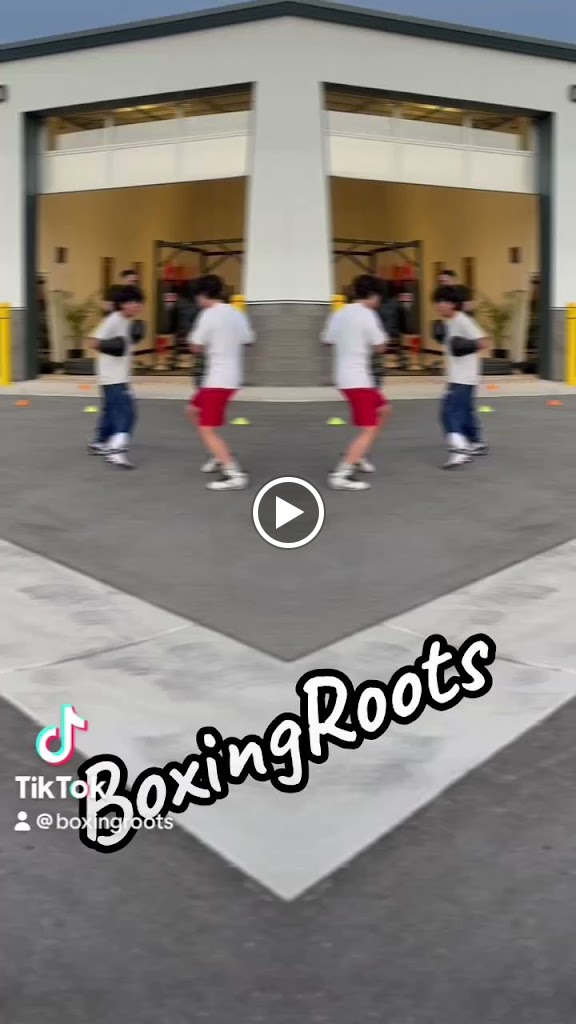  boxingroots