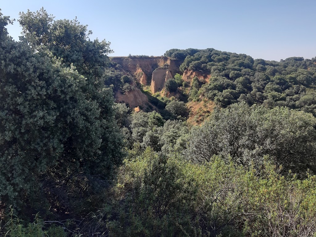 Carcavas El Casar