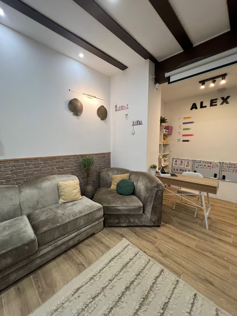 ALEX ACADEMY (provisional)