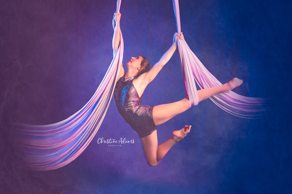  The Lofty Life Aerial Dance, LLC.