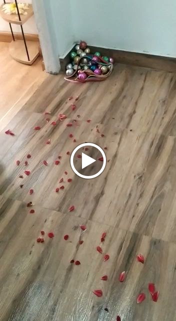 Videos
