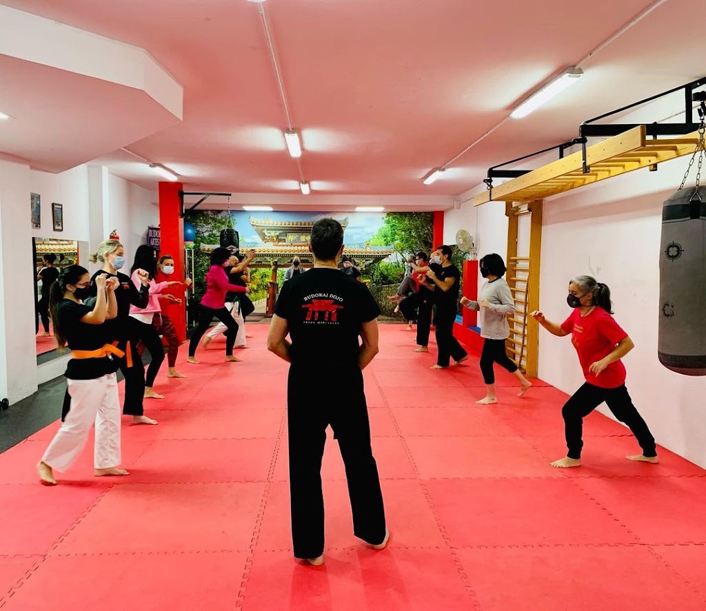 Budokai Dojo — Arte marcial
