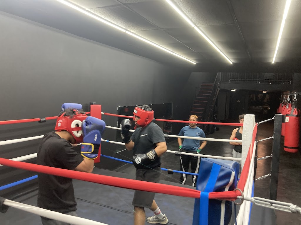  Infinity Boxing