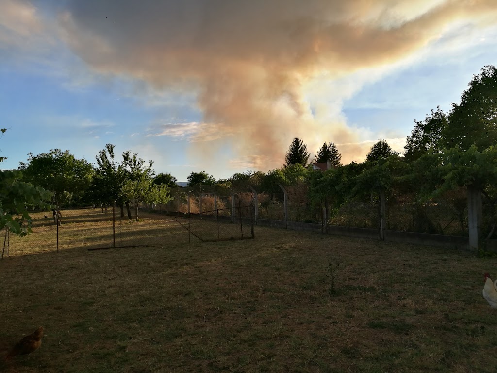 Antonio Rodriguez Carballo