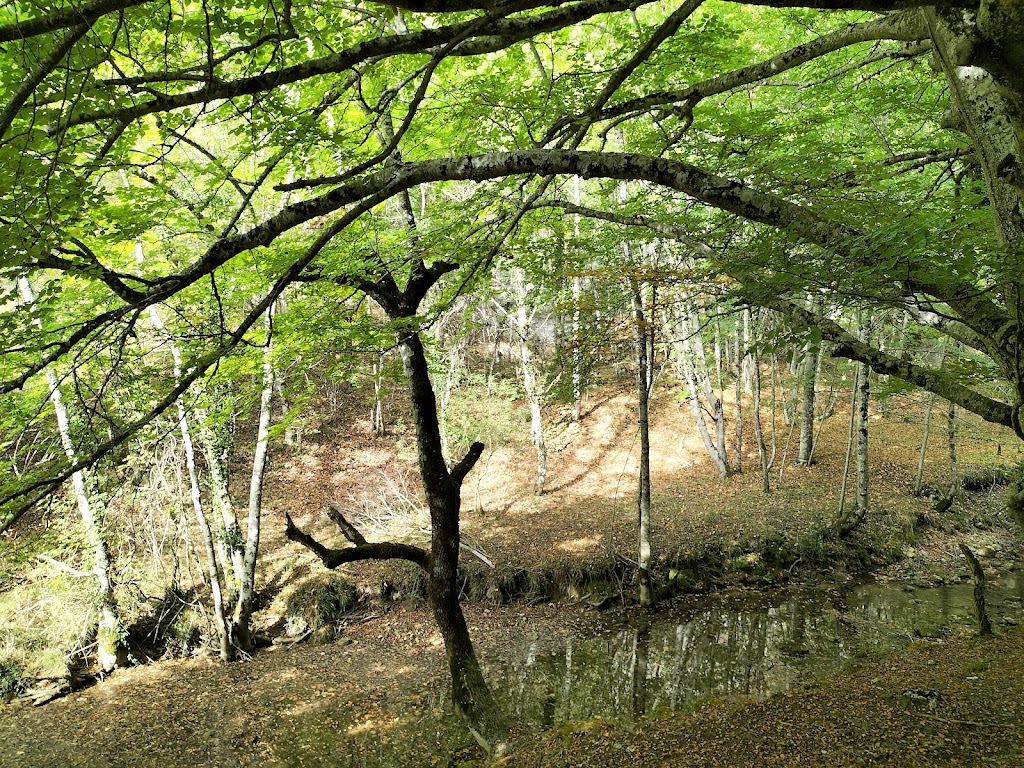 Ruta senderista del Desfiladero del Rio Ayuda