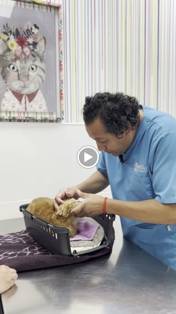 Clinica Veterinaria Vetsur — Del propietario