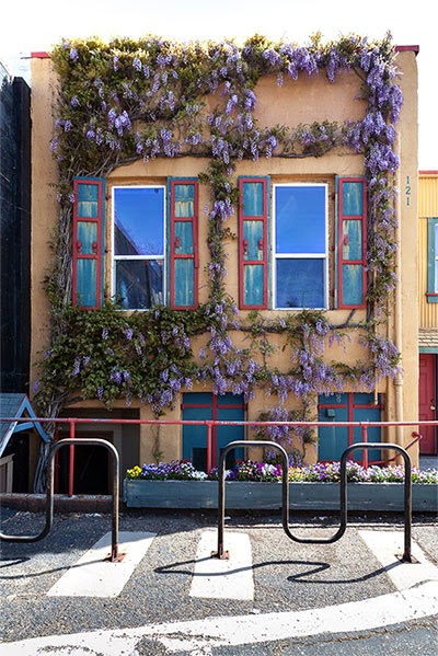  Wild Mountain Yoga Center