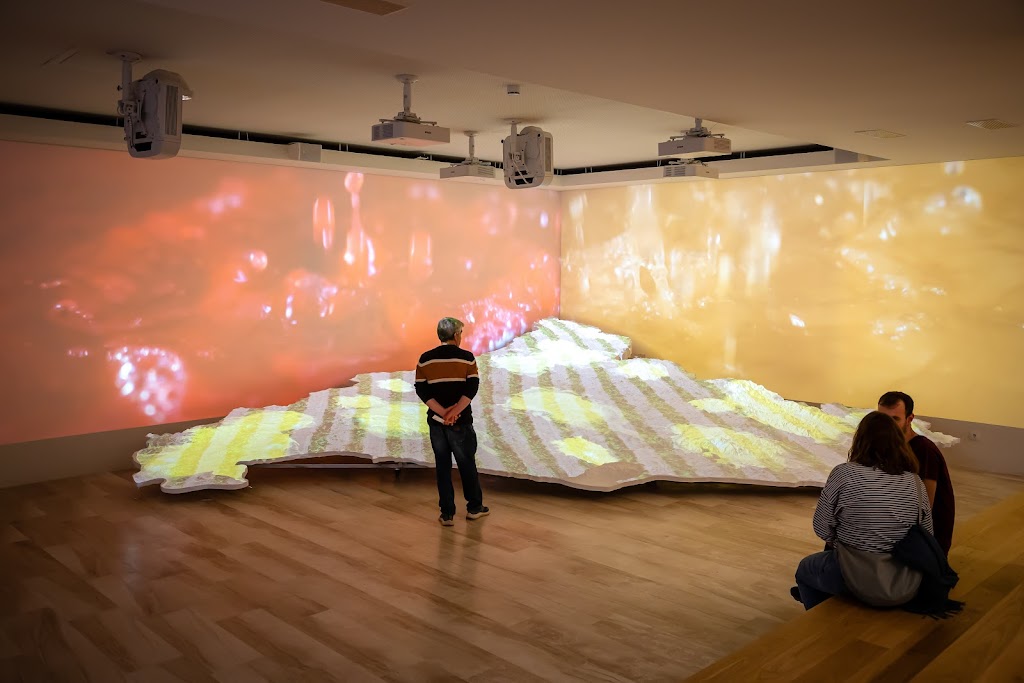 VINSEUM Museu de les Cultures del Vi de Catalunya