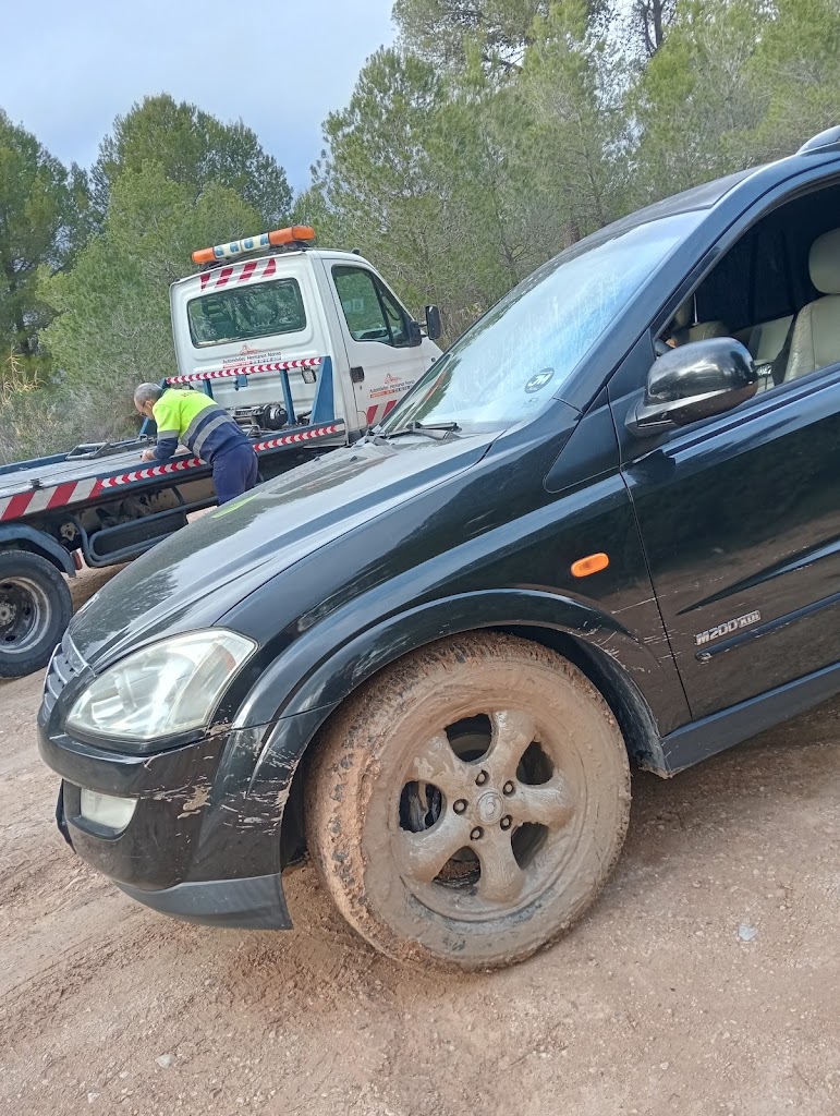 Talleres y Gruas Hermanos Alonso