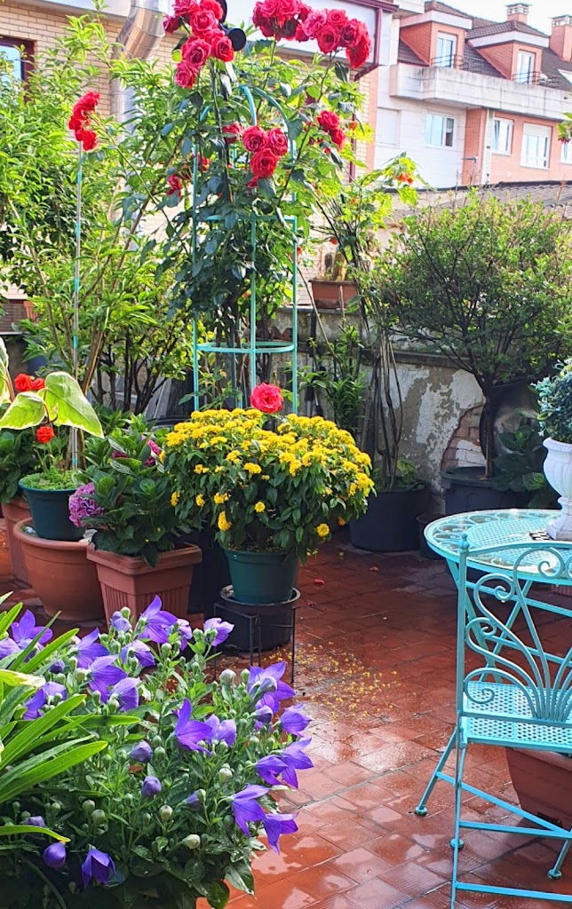 Parque del Doctor Pedro Sabando Suarez