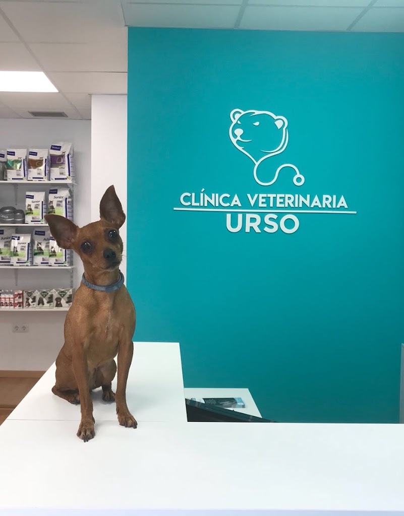 CLINICA VETERINARIA URSO — Del propietario