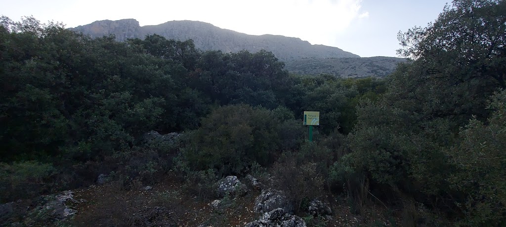 Bosque de Encinas