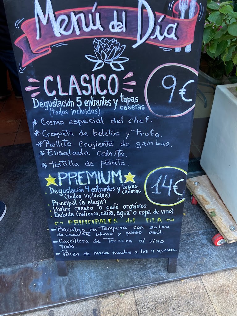 Mistico Restaurante — Carta
