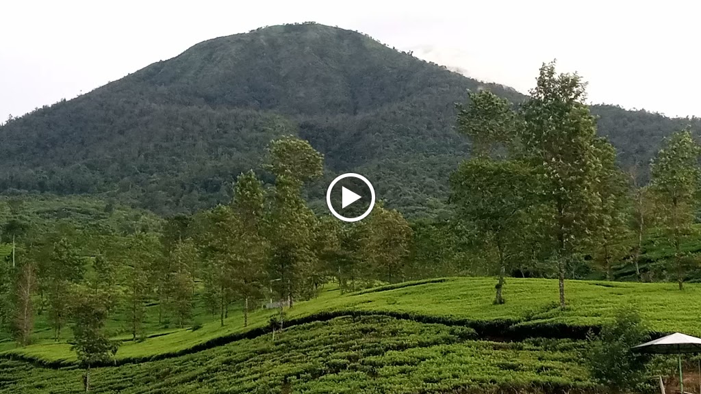 Point View "Lembah Si Kumbang"