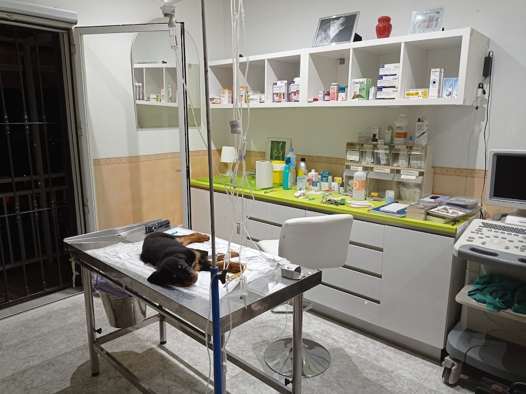 Centro Veterinario Animal doc