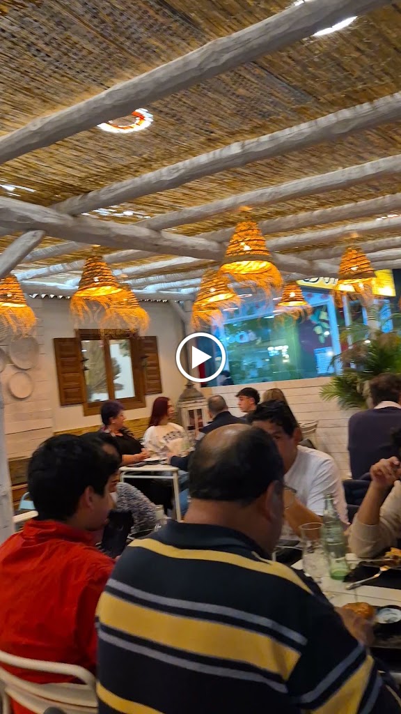 THE LAST BURGER — Videos