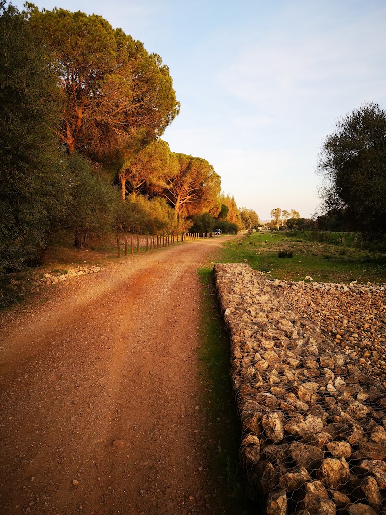 Pinares de Colinas