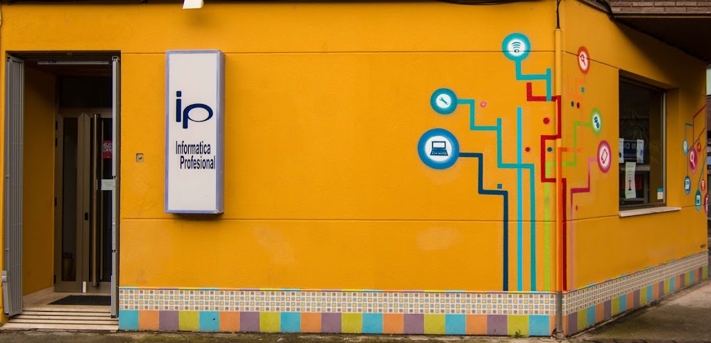 Informatica Profesional