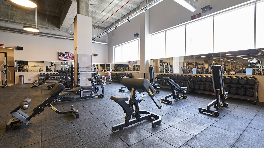 Dreamfit | Gimnasio Sanse