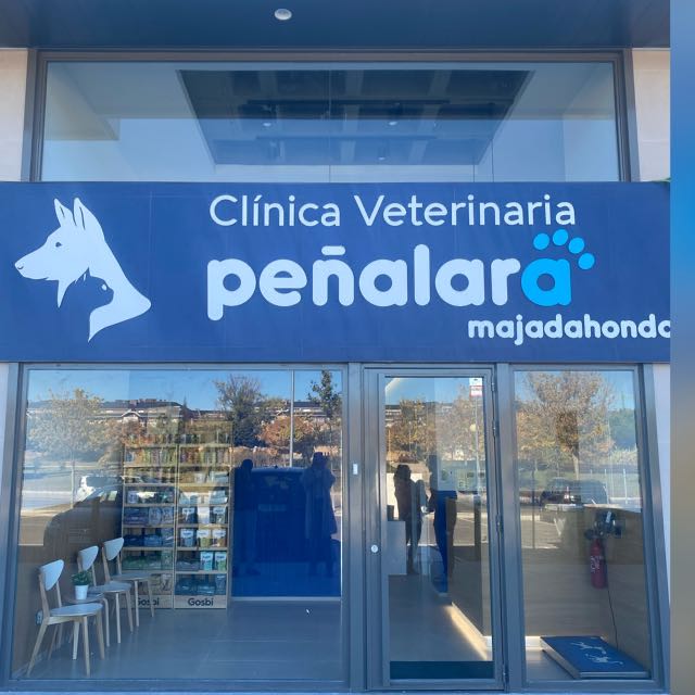 CLINICA VETERINARIA PENALARA MAJADAHONDA