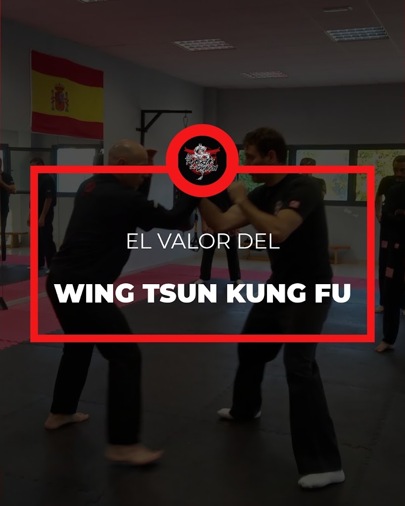 Las Puertas del Dragon. Artes marciales Aljarafe — Mas recientes