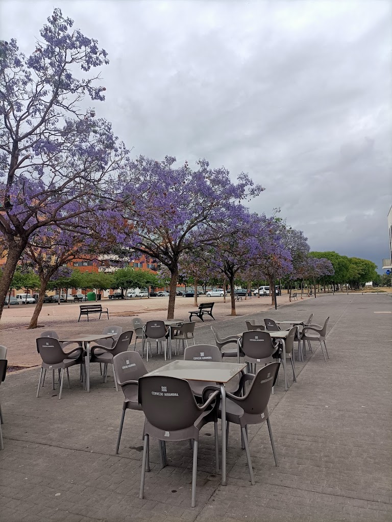Cafeteria Cereza Verde