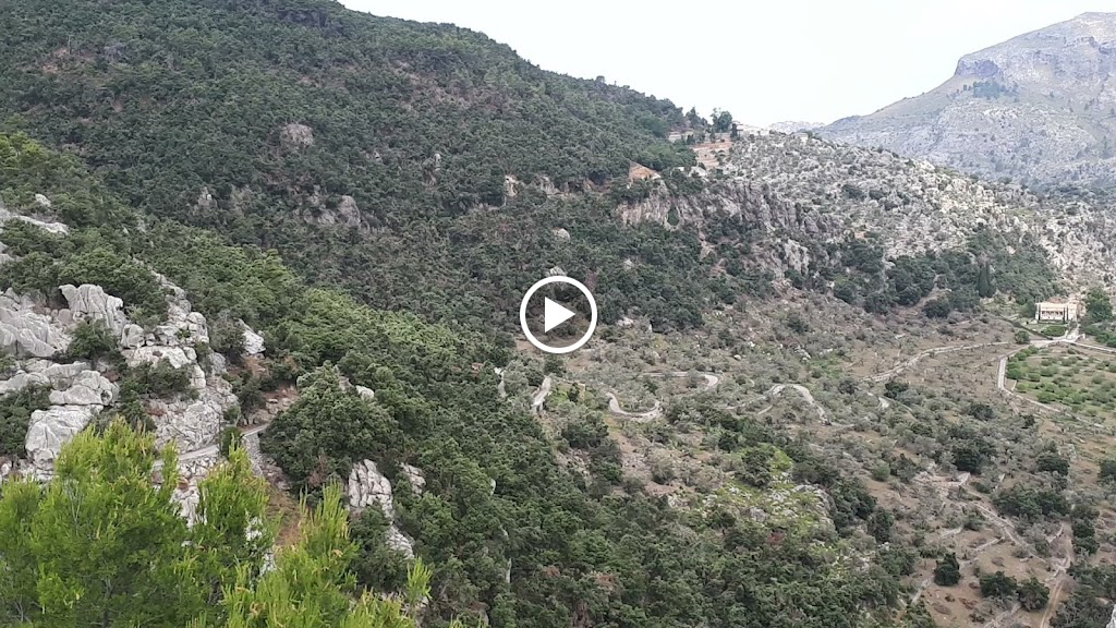 Videos