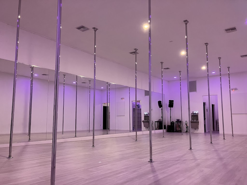  The Wild Sky Pole Dance Studio