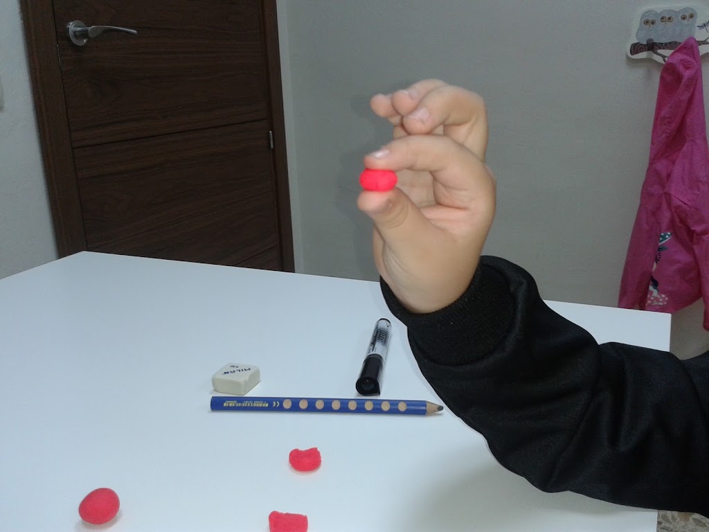 Silvia Sanchez Pedagogia