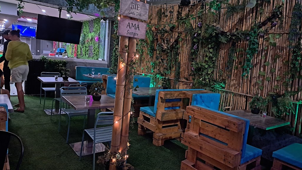 Bonsai Shisha Lounge — Ambiente
