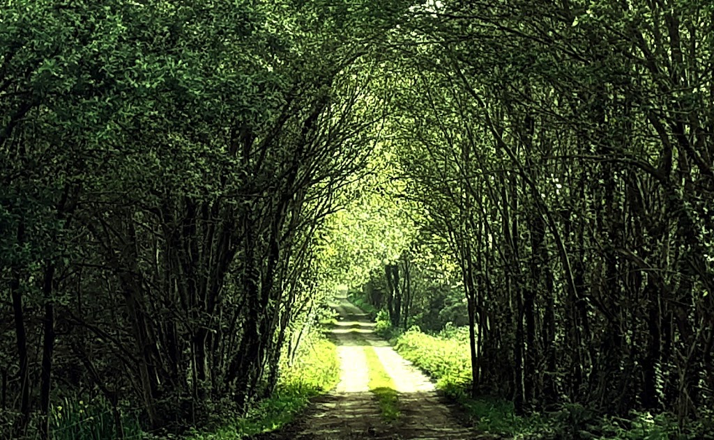 Ruta de los molinos de Esmelle (Ferrol)