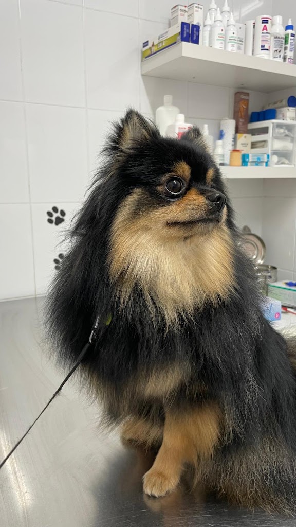 Clinica Veterinaria Faras — Del propietario