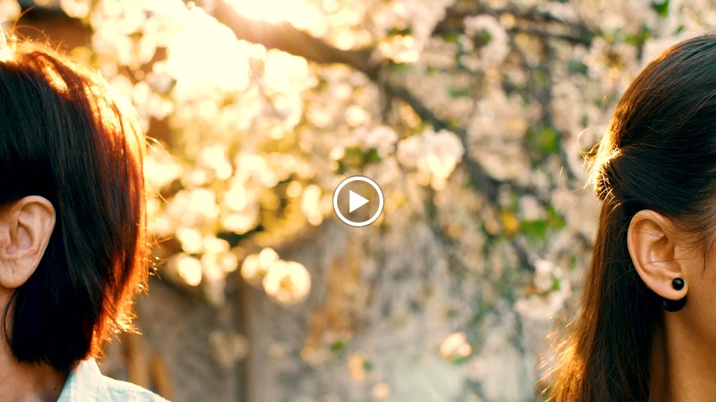 Academia Always Ready