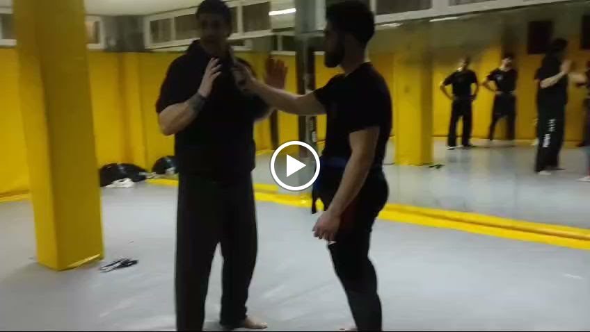 NATURAL FITNESS — Videos