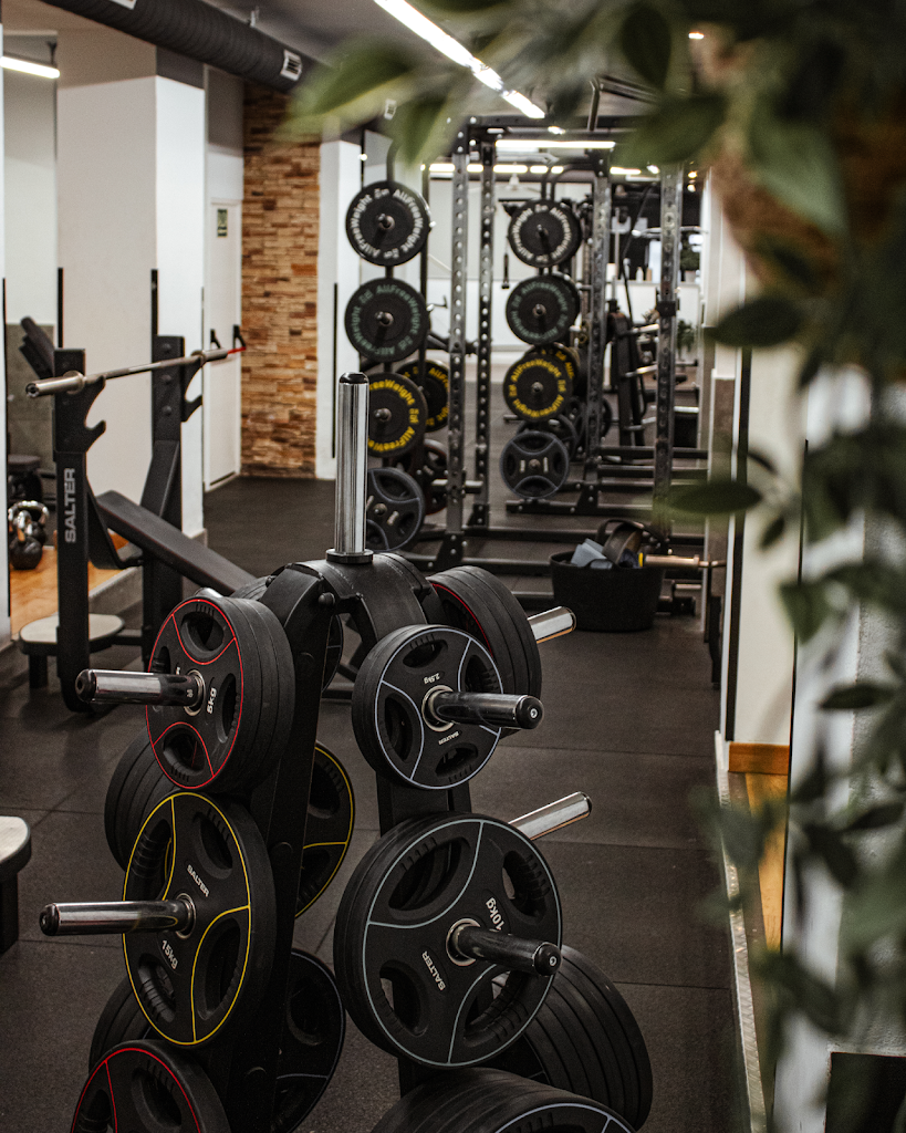 Scandinavian Gymhouse — Del propietario